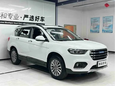 2017 Haval H6 Facelift Blue Label Sports Edition 1.5T Automatic 2WD Luxury, фото 3, лот 10298483