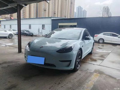 2022 Tesla Model 3 Model Rear-Wheel Drive Version, фото 1, лот 10357408