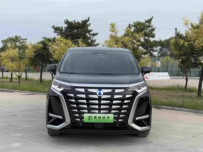 2024 Denza D9 DM-i 970 Luxury, фото 2, лот 10450027