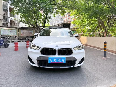 2022 BMW X2 sDrive25i M Off-Road Package, фото 2, лот 11199874