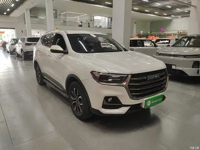 2021 Haval H6 National Trend Edition 1.5T Automatic Urban Edition, фото 4, лот 11568199