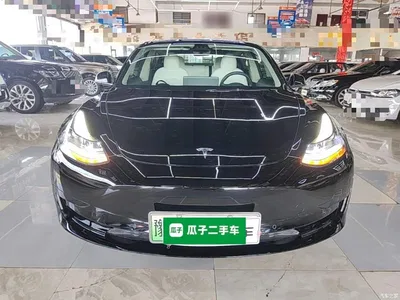 2021 Tesla Model 3 Standard Range Rear-Wheel Drive Upgrade, фото 3, лот 10369419