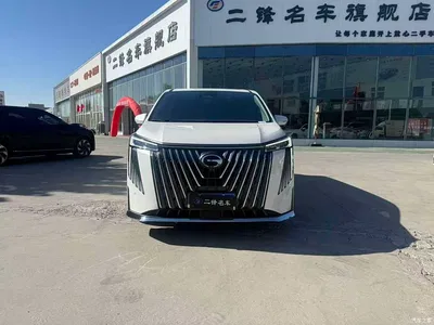 2024 GAC Trumpchi Trumpchi M8 Master Series 400T Ultimate Edition, фото 3, лот 11568761