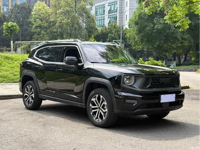 2023 Haval Da Gou 2nd Gen 2.0T 2WD Trendy Off-road Edition Plus, фото 3, лот 10296717