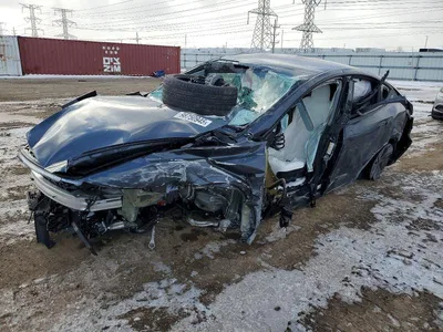 2026 TESLA MODEL Y, фото 1, лот 10971119