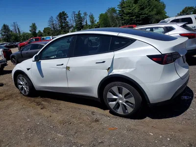 2021 TESLA MODEL Y, фото 2, лот 10631998