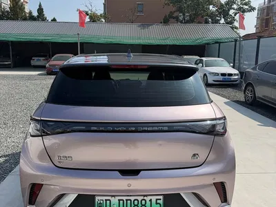 2021 BYD Dolphin Model 405km Fashion Edition, фото 4, лот 11074491