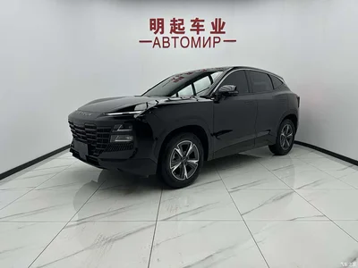 2023 Jetour Dasheng 1.5T DCT Starlight PRO, фото 1, лот 10827066