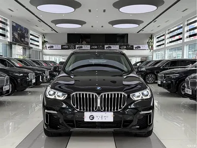 2022 BMW X5 Facelift xDrive 30Li Premium M Sport Package, фото 2, лот 11568053