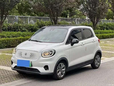 2020 Leapmotor T03 400 Luxury Edition, фото 1, лот 10885830