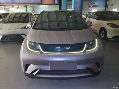 2021 BYD Dolphin Model 405km Fashion Edition, фото 3, лот 11189001