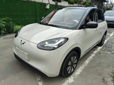 2024 Wuling Motors Wuling Bingo 333km Comfort Edition, фото 2, лот 10371931