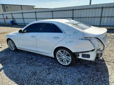 2022 CADILLAC CT4 PREMIUM LUXURY, фото 2, лот 10866074