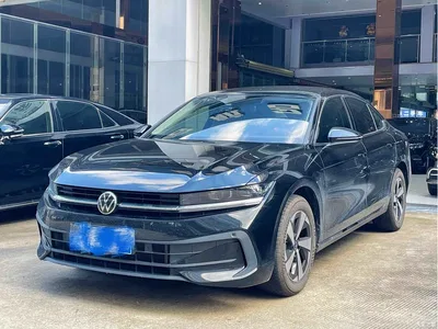 2024 Volkswagen Magotan 300TSI DSG Premium Edition, фото 1, лот 11141628