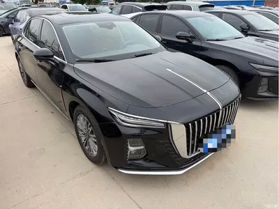 2024 Hongqi H5 1.5T DCT Smart Connect Flag Rhythm Edition, фото 3, лот 10415767