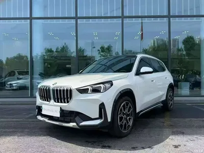 2025 BMW X1 sDrive25Li X Design Package, фото 1, лот 11133990