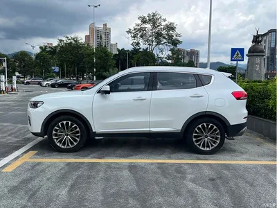 2020 Haval H6 1.5GDIT Automatic Platinum Champion Edition, фото 4, лот 10299104