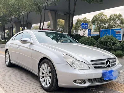 2009 Mercedes-Benz CLS 300, фото 4, лот 10300003