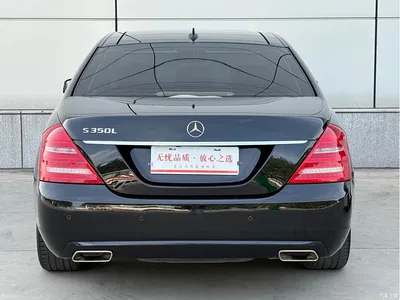 2010 Mercedes-Benz S-Class S 300 L Luxury, фото 4, лот 10385794