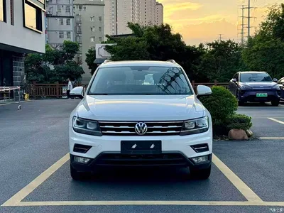 2019 Volkswagen Tiguan L 330TSI Automatic 2WD Smart Luxury Edition China VI, фото 3, лот 10392368