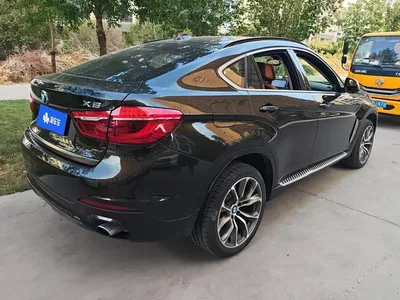 2017 BMW X6 xDrive35i Premium, фото 3, лот 10450448