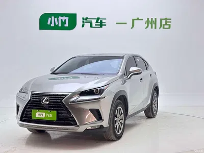 2020 Lexus NX 200 FWD Fengyi Edition China VI, фото 1, лот 10312676