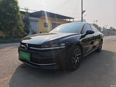 2024 Volkswagen Magotan 380TSI DSG Luxury Edition (Daimai Package), фото 2, лот 10804300