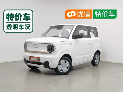 2024 Geely Galaxy Panda mini 200km Endurance Bear, фото 1, лот 10431380
