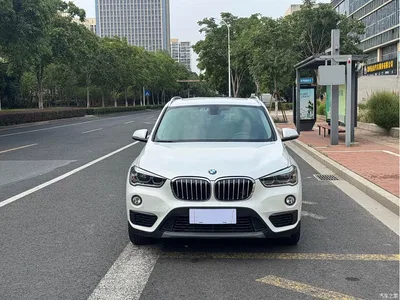 2019 BMW X1 sDrive20Li Leading Model, фото 2, лот 11219057