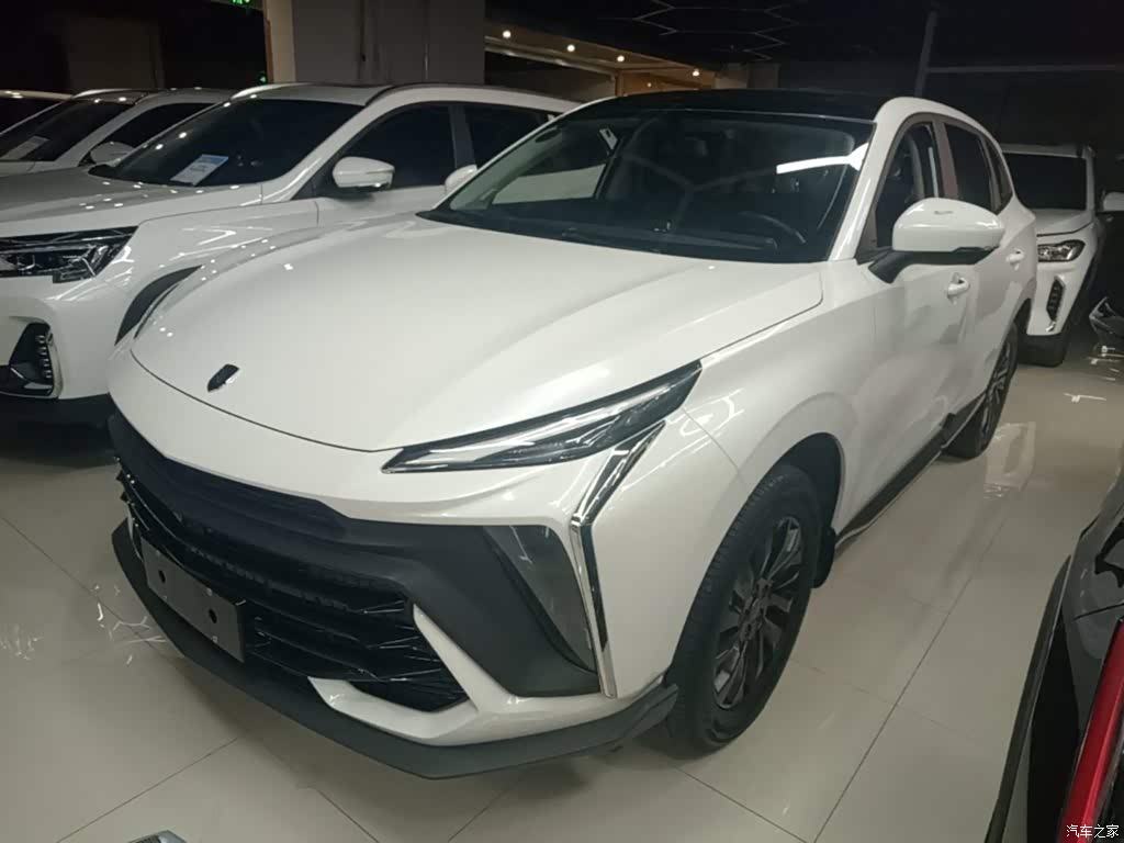 2024 Dongfeng Fengxing T5 EVO 1.5TD DCT Starry Sky Edition, фото 1, лот 11220117