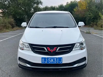 2020 Wuling Motors Wuling 730 Commercial Vehicle 1.5L Manual Premium Edition 7-Seater, фото 2, лот 11193606