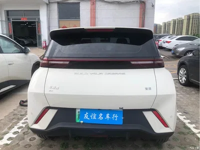 2024 BYD Seagull Glory Edition 305km Freedom Edition, фото 4, лот 10256223