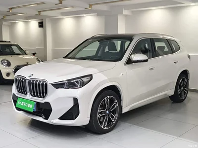 2024 BMW X1 sDrive25Li M Sport Package, фото 1, лот 11174581