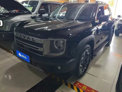 2024 Haval Big Dog 2.0T DCT Chinese Rural Dog Edition, фото 1, лот 10361785