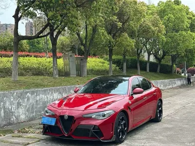 2017 Alfa Romeo Giulia 2.0T 280HP Luxury Edition, фото 1, лот 10239811