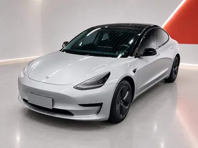 2020 Tesla Model 3 Standard Range Rear-Wheel Drive Upgrade, фото 1, лот 11249940