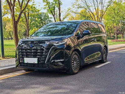 2024 Denza D9 DM-i 980 AWD Premium, фото 1, лот 11195119