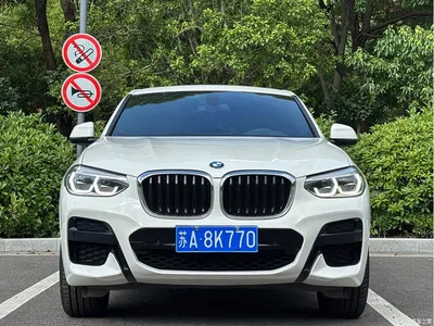 2020 BMW X4 xDrive25i M Sport Package, фото 2, лот 10476894
