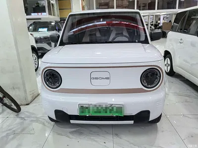 2024 Geely Galaxy Panda mini 200km Endurance Bear, фото 2, лот 10430283