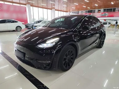 2021 Tesla Model Y Standard Range Rear-Wheel Drive, фото 2, лот 11179352