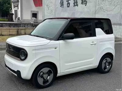 2023 Geely Galaxy Panda Mini 200km Lucky Duck Limited Edition, фото 1, лот 10902351