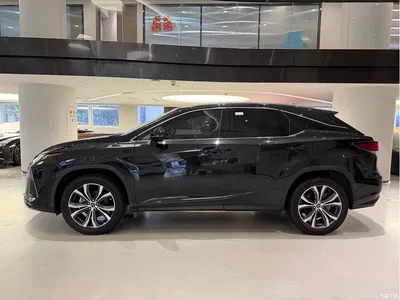 2020 Lexus RX 300 4WD Elegance Edition China VI, фото 4, лот 10313207