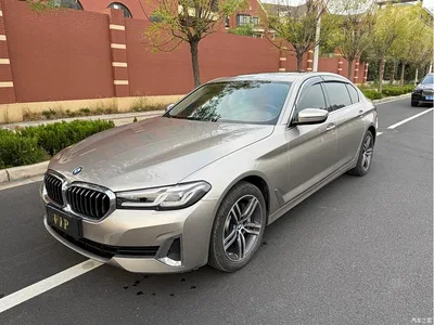 2021 BMW 5 Series 530Li xDrive Luxury Package, фото 1, лот 11412489