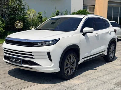 2020 Exeed Windchaser Riding the Wind and Waves 1.5T CVT Star Glory Edition, фото 1, лот 11146423