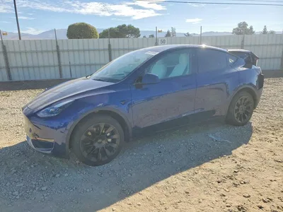 2024 TESLA MODEL Y, фото 1, лот 10855793