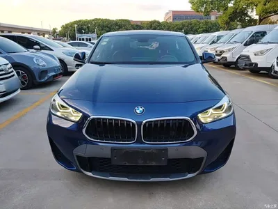 2021 BMW X2 sDrive25i Leading M Off-Road Package, фото 3, лот 10475479