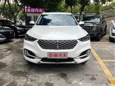2021 WEY VV6 2.0T 2WD Smart Enjoyment+, фото 2, лот 10451796