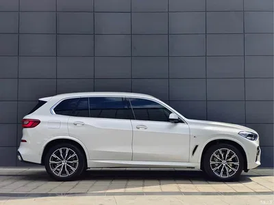 2022 BMW X5 Facelift xDrive 30Li M Sport Package, фото 4, лот 10463276