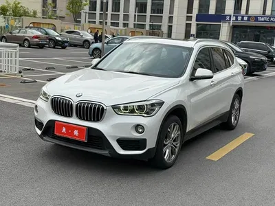2019 BMW X1 sDrive20Li Leading Model, фото 1, лот 10026343