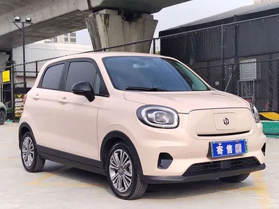 2022 Leapmotor T03 Pearl Edition, фото 4, лот 10445335